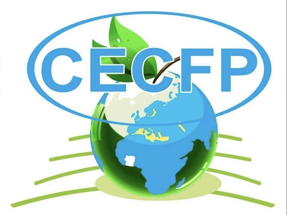 CENTRE D'ETUDES DE CONSEILS D'ASSISTANCE  ET DE LA FORMATION PROFESSIONNELLE