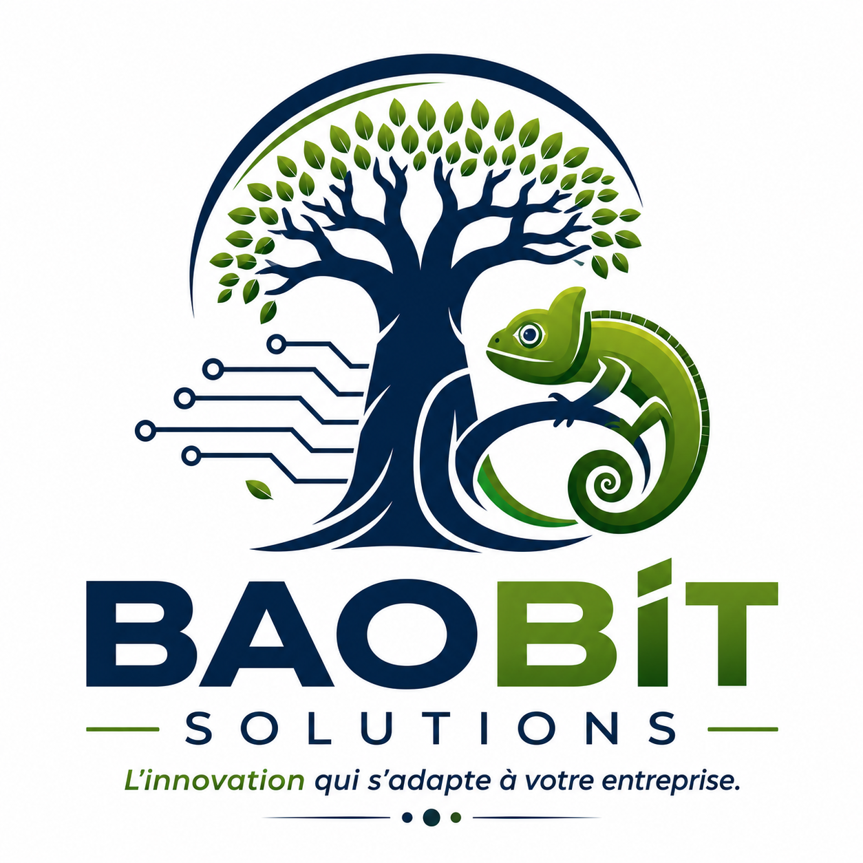 BAOBIT SOLUTIONS SARLU