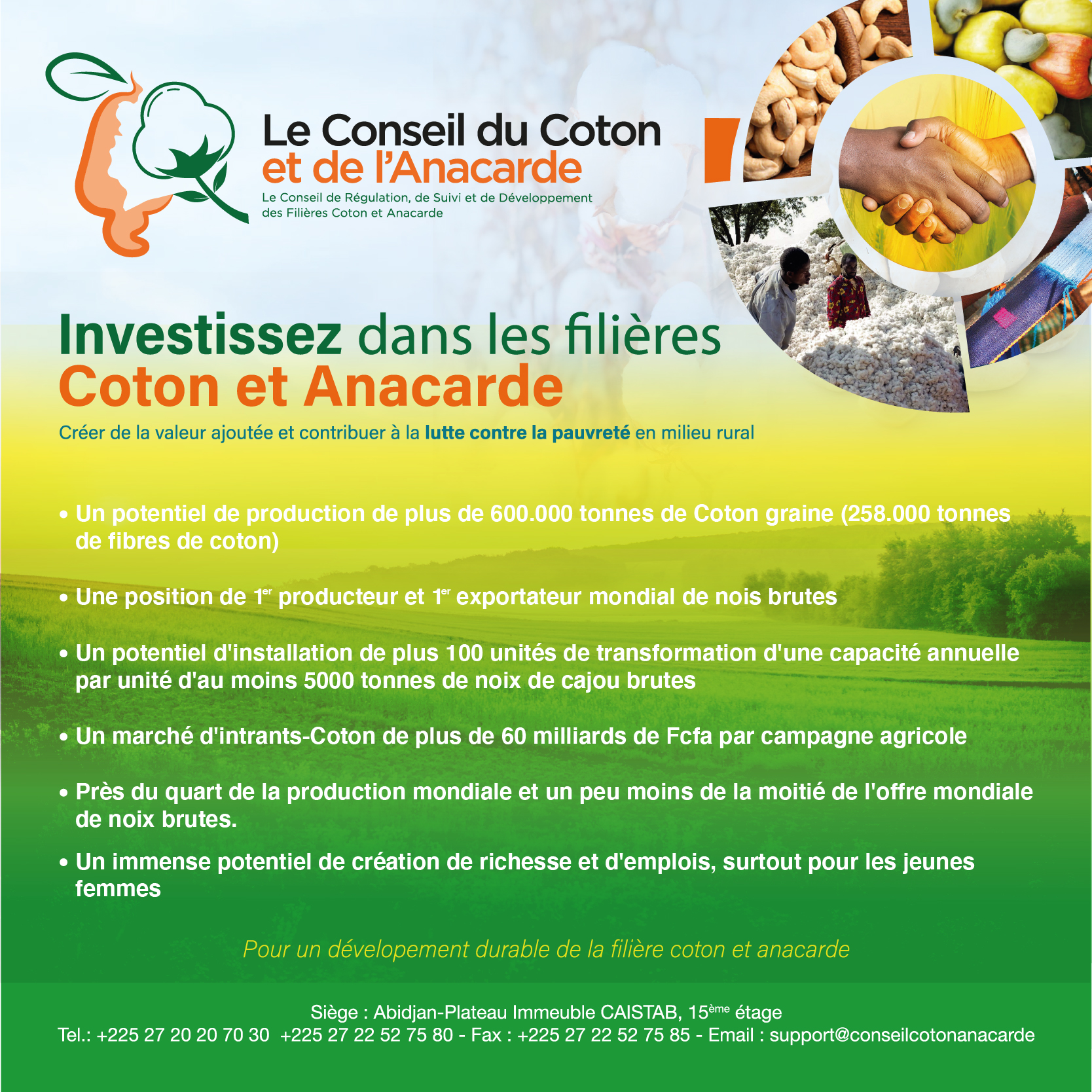 CONSEIL COTON 2